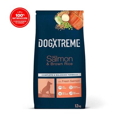 Dogxtreme Adult Salmon & Rice alimento para perro